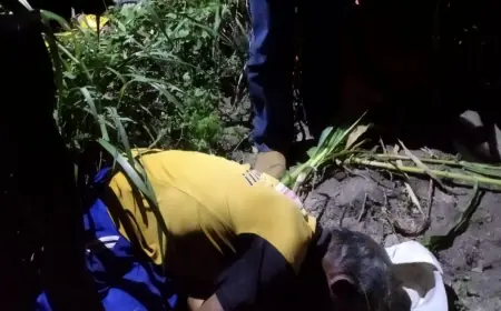 Petani Tewas Terkapar di Kebun Jagung Blitar
