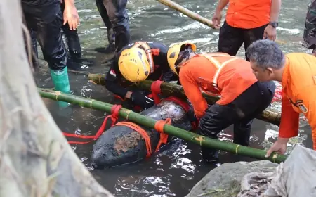 Setelah 4,5 Jam, Bom Udara di Sungai Lahar Kota Blitar Akhirnya Berhasil Dievakuasi