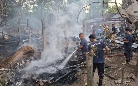 Kebakaran Hanguskan Dapur dan Kandang di Tulungagung, Lima Ekor Kambing Mati Terpanggang