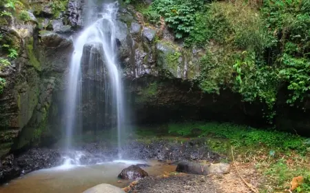 Curug Sumber Nyonya,   Kepingan Surga Tersembunyi di Tengah Hutan Pasuruan