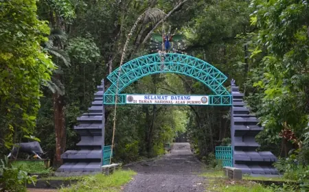 Bukan Cuma Mistik, Ini Sisi Lain Alas Purwo sebagai Magnet Wisata Minat Khusus Dunia