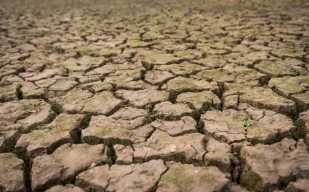 Masuki Kemarau, BMKG Peringatkan Ancaman Kebakaran Lahan dan Krisis Air Bersih di Pulau Jawa