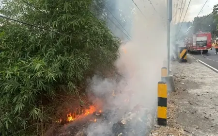 Bakar Sampah Sembarangan, Lahan di Bawah Jembatan Kembar Tenggarang Bondowoso Terbakar