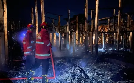 Kebakaran Kandang Ayam di Kedungwaru Tulungagung, 3.100 Ekor Ayam Mati Terpanggang