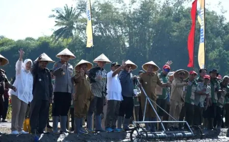 UMM Jadikan Bondowoso Laboratorium Pertanian Organik, Produktivitas Padi Tembus 8,5 Ton per Hektare