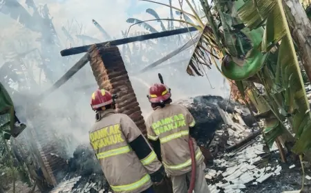 Ditinggal Tidur Usai Bakar Sampah, Kandang Milik Lansia di Rejoso Nganjuk Ludes Dilalap Api