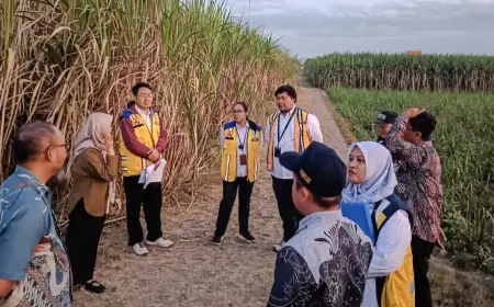Kementerian PU Survei Lokasi Sekolah Rakyat Tulungagung, Pembangunan Ditargetkan Dimulai Oktober 2026
