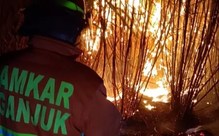 Diduga Akibat Pembakaran Jerami, Lahan Tebu di Kwagean Nganjuk Terbakar
