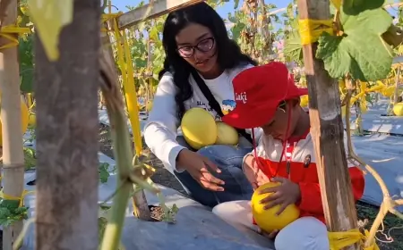 Edukasi Berbalut Rekreasi: Sensasi Petik Buah dan Sayur di Petro Agrifood Expo 2026
