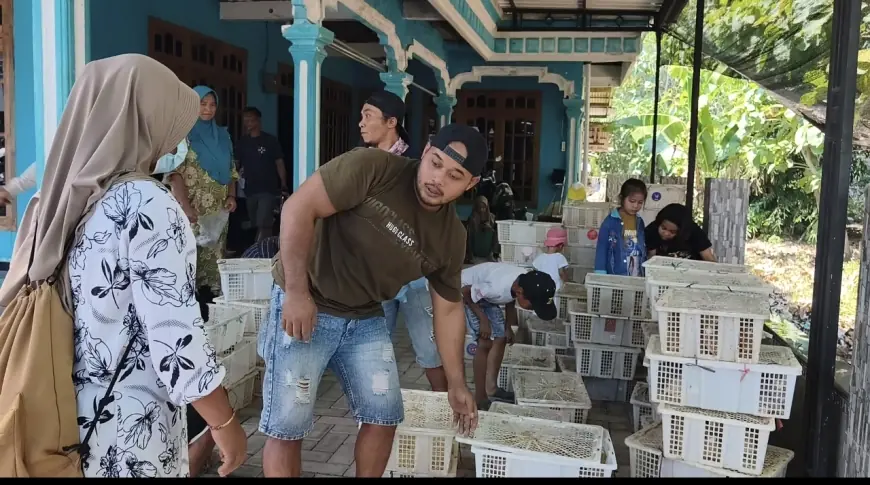 Viral Bagi-Bagi Ayam dan Puyuh Gratis di Selopuro, Warga Sempat Mengira Hoaks