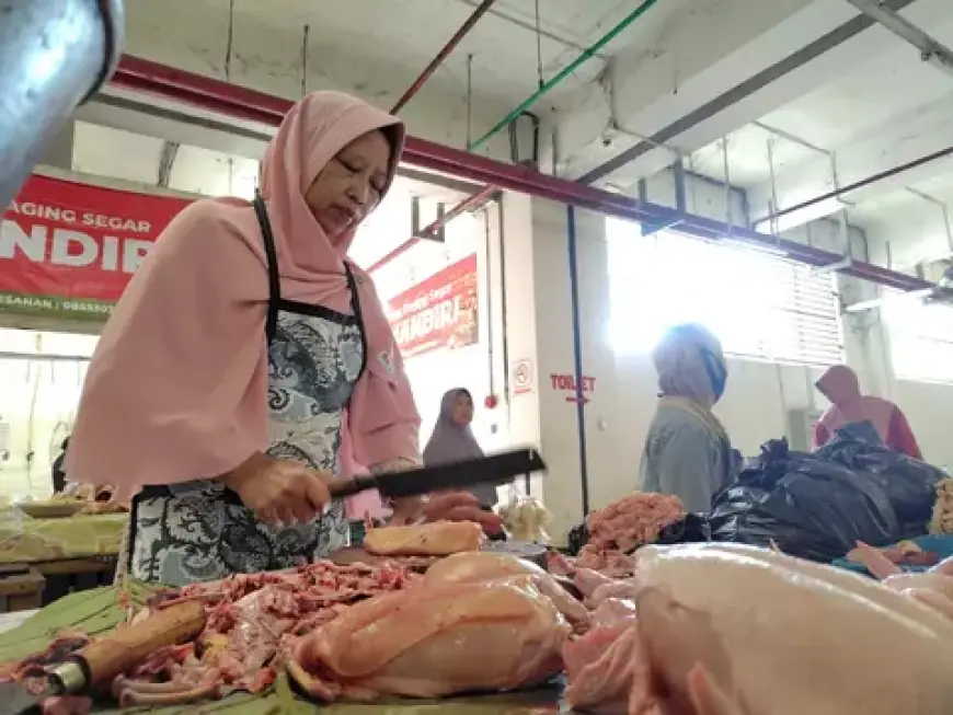 Dampak Program MBG Berhenti Sementara, Harga Ayam dan Telur di Ngawi Turun