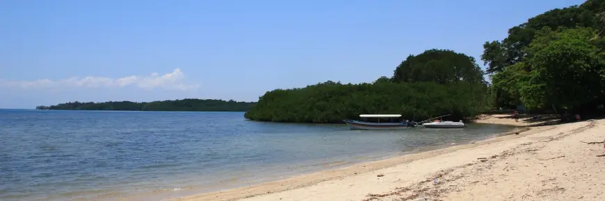 Menjelajahi Pantai Bama Banyuwangi, Surga Pasir Putih di Ujung Savana Baluran