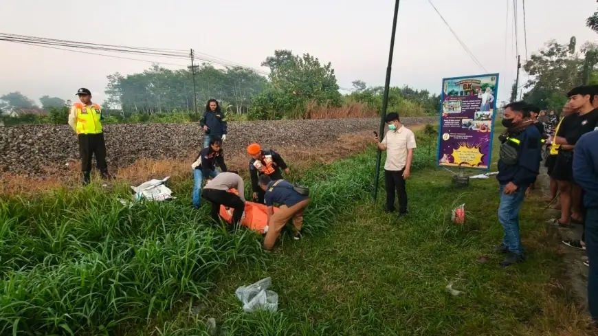 Pria Asal Blitar Tewas Tertemper KA Brawijaya di Rejotangan, Sempat Diperingatkan Petugas Perlintasan