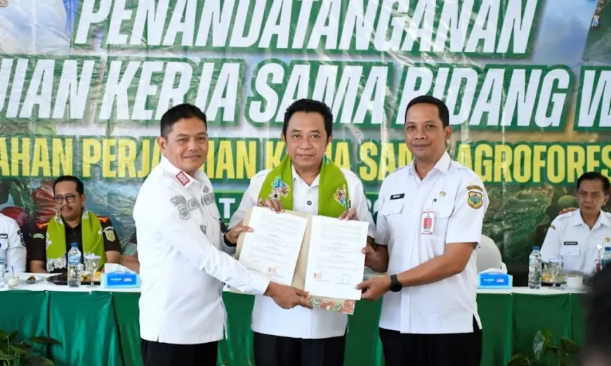 Bondowoso Perkuat Agroforestri Kopi, Bupati Dorong Hilirisasi dan Wisata Berbasis Hutan