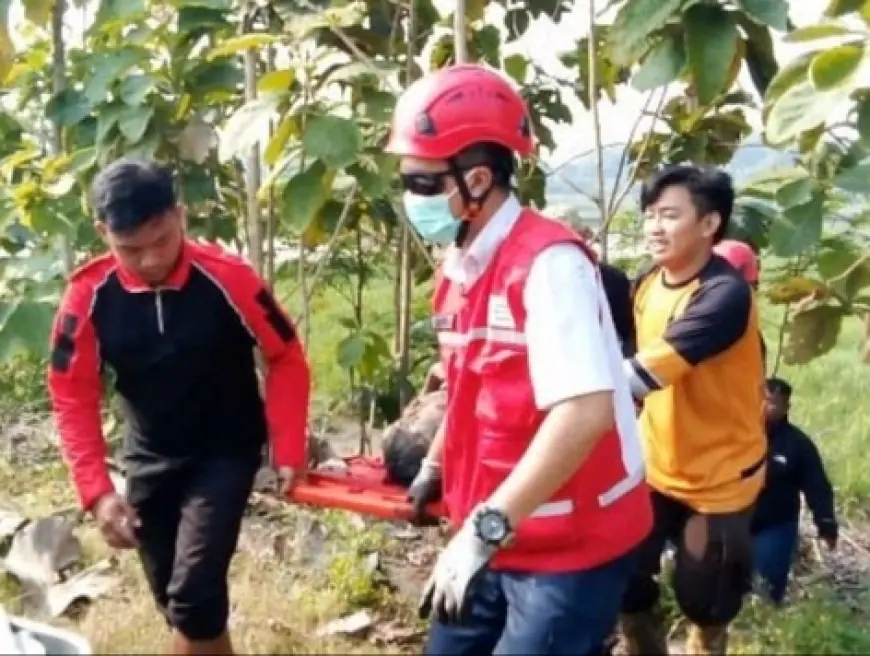 Lansia 70 Tahun Selamat Setelah Terjebak Semalaman di Kubangan Lumpur Mojokerto