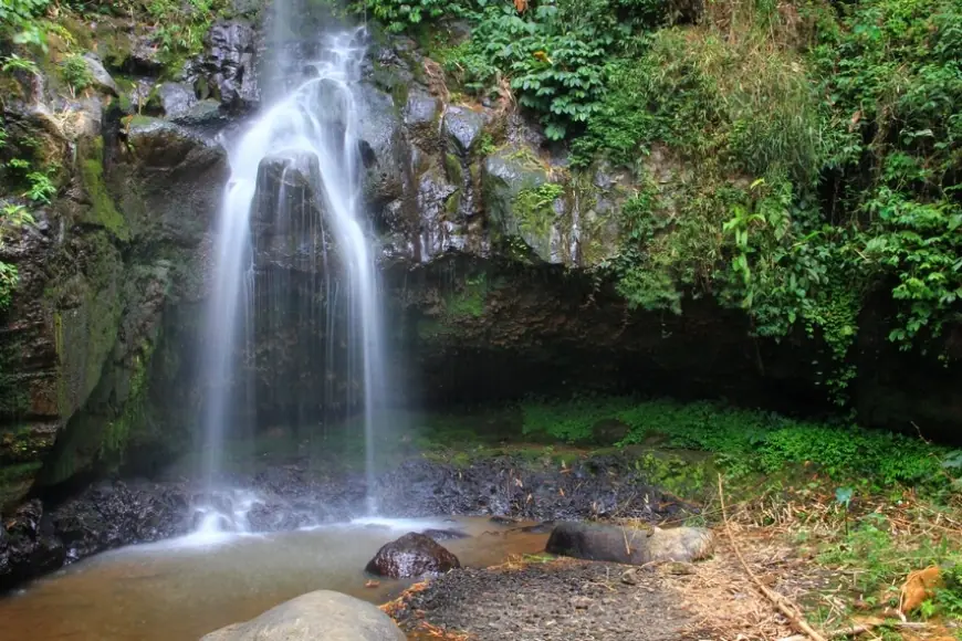 Curug Sumber Nyonya,   Kepingan Surga Tersembunyi di Tengah Hutan Pasuruan