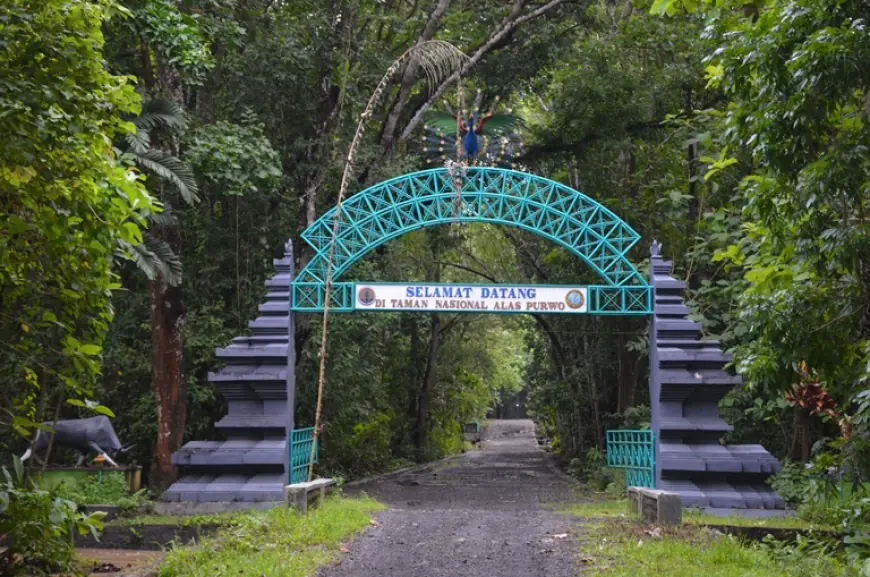 Bukan Cuma Mistik, Ini Sisi Lain Alas Purwo sebagai Magnet Wisata Minat Khusus Dunia