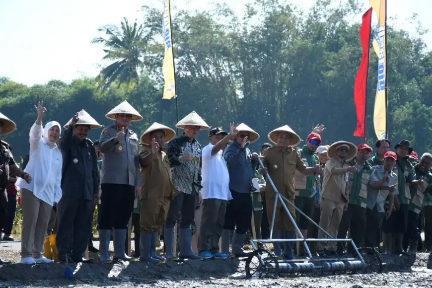 UMM Jadikan Bondowoso Laboratorium Pertanian Organik, Produktivitas Padi Tembus 8,5 Ton per Hektare