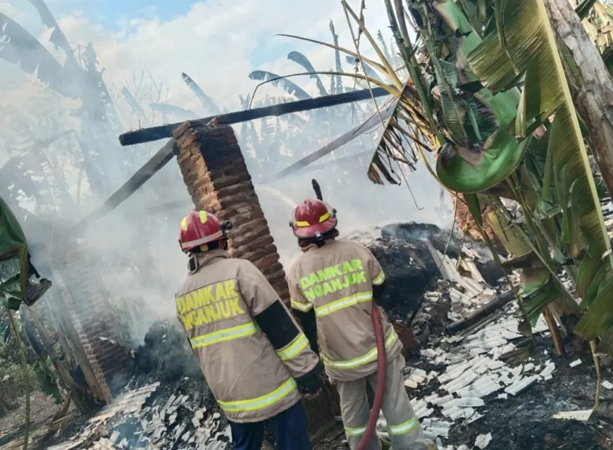 Ditinggal Tidur Usai Bakar Sampah, Kandang Milik Lansia di Rejoso Nganjuk Ludes Dilalap Api