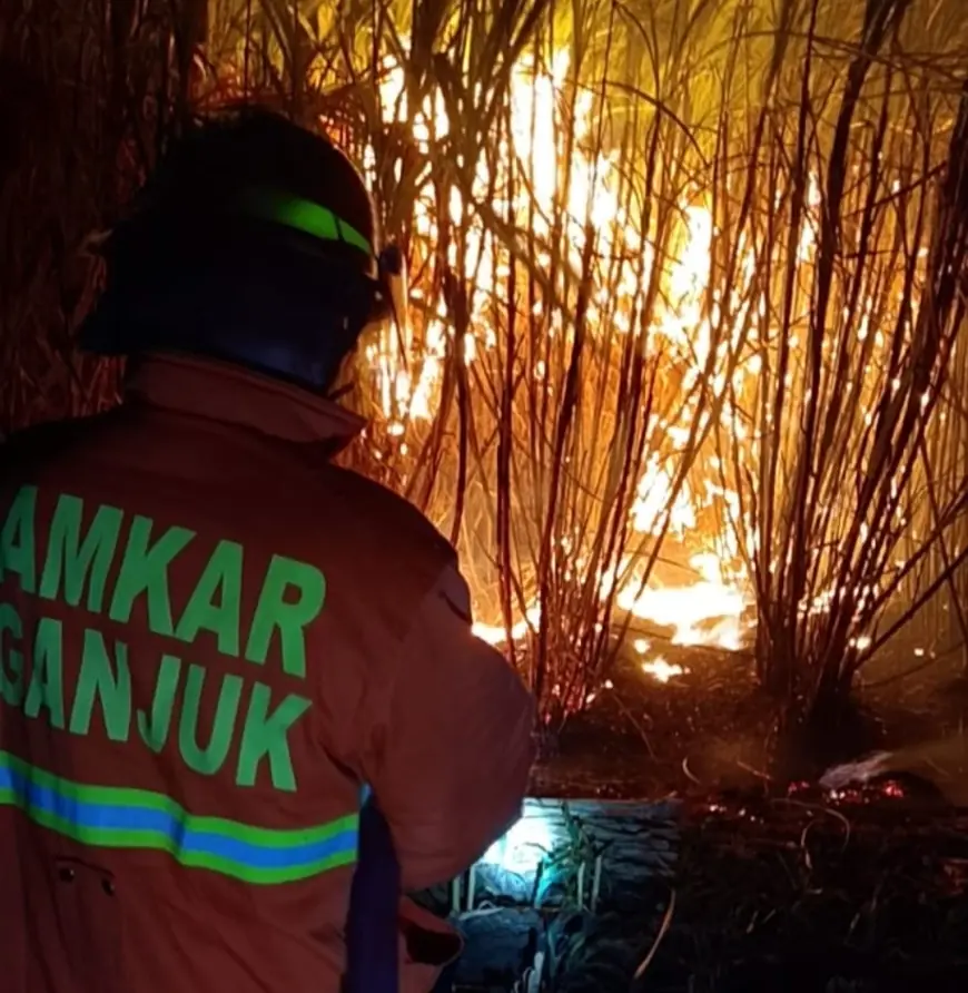 Diduga Akibat Pembakaran Jerami, Lahan Tebu di Kwagean Nganjuk Terbakar