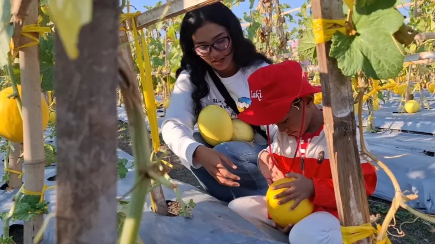 Edukasi Berbalut Rekreasi: Sensasi Petik Buah dan Sayur di Petro Agrifood Expo 2026